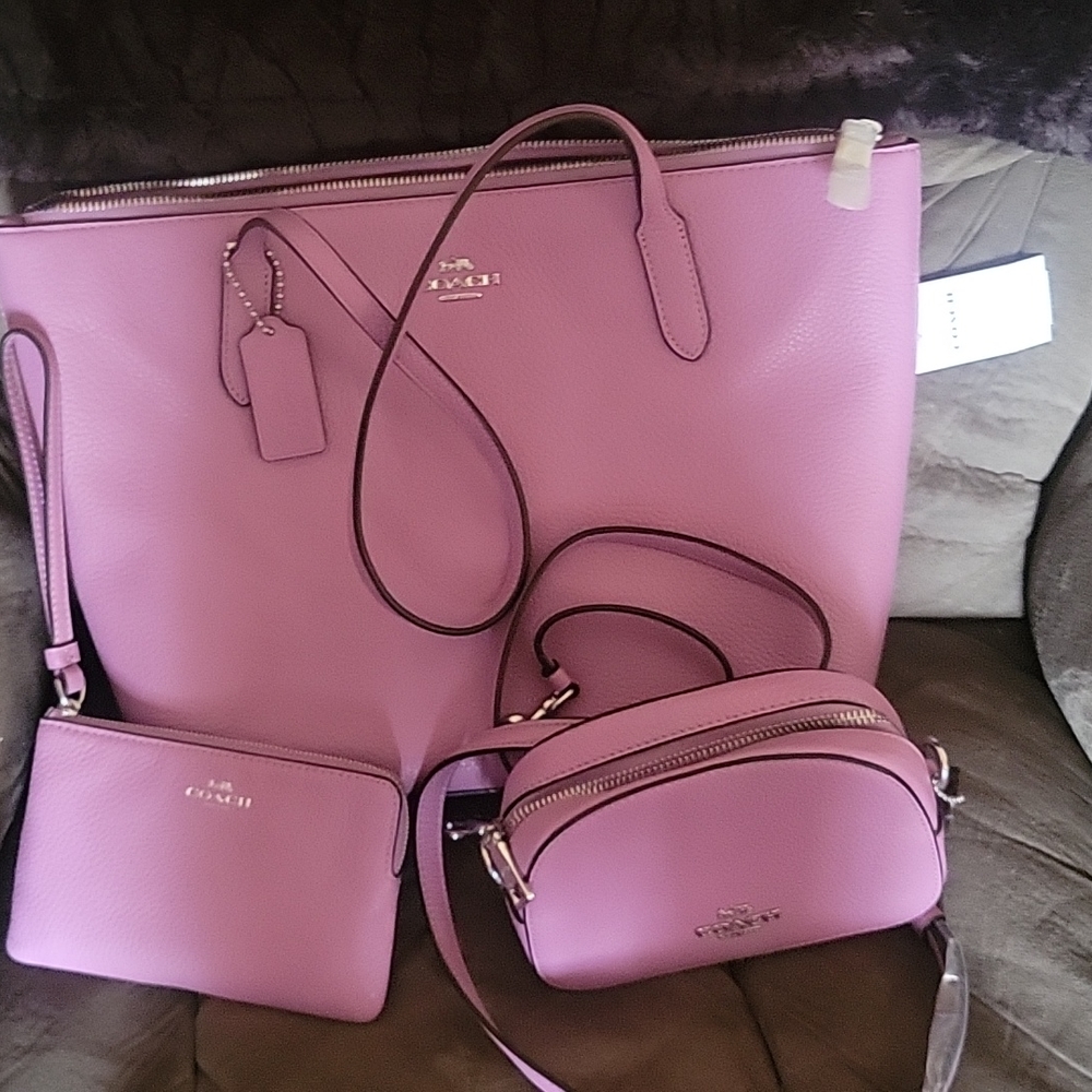 Purse with small clutch and small hand bag